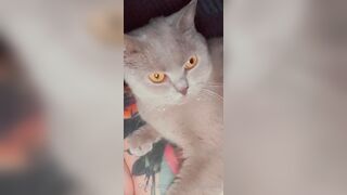 [277] ihatelaiika (LAIKAMusic aka Laika aka sleepylaika) OnlyFans Leaks CEO of Mental illness and Mommy Milkers