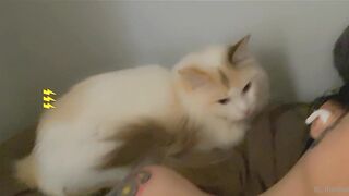 [398] ihatelaiika (LAIKAMusic aka Laika aka sleepylaika) OnlyFans Leaks CEO of Mental illness and Mommy Milkers