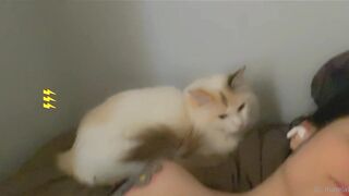 [398] ihatelaiika (LAIKAMusic aka Laika aka sleepylaika) OnlyFans Leaks CEO of Mental illness and Mommy Milkers