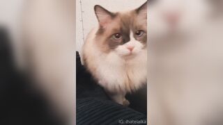 [405] ihatelaiika (LAIKAMusic aka Laika aka sleepylaika) OnlyFans Leaks CEO of Mental illness and Mommy Milkers