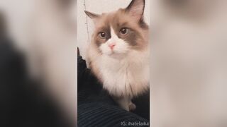 [405] ihatelaiika (LAIKAMusic aka Laika aka sleepylaika) OnlyFans Leaks CEO of Mental illness and Mommy Milkers