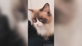 [405] ihatelaiika (LAIKAMusic aka Laika aka sleepylaika) OnlyFans Leaks CEO of Mental illness and Mommy Milkers