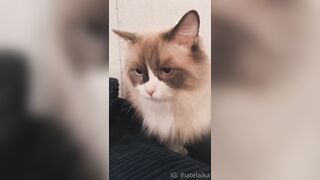 [405] ihatelaiika (LAIKAMusic aka Laika aka sleepylaika) OnlyFans Leaks CEO of Mental illness and Mommy Milkers