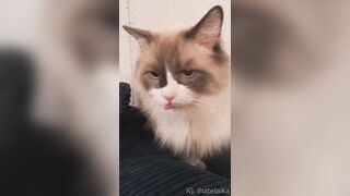 [405] ihatelaiika (LAIKAMusic aka Laika aka sleepylaika) OnlyFans Leaks CEO of Mental illness and Mommy Milkers