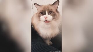 [405] ihatelaiika (LAIKAMusic aka Laika aka sleepylaika) OnlyFans Leaks CEO of Mental illness and Mommy Milkers