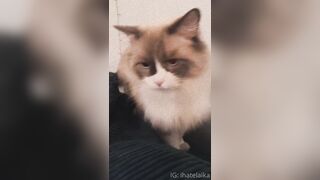 [405] ihatelaiika (LAIKAMusic aka Laika aka sleepylaika) OnlyFans Leaks CEO of Mental illness and Mommy Milkers