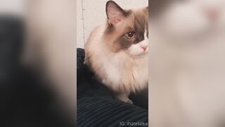 [405] ihatelaiika (LAIKAMusic aka Laika aka sleepylaika) OnlyFans Leaks CEO of Mental illness and Mommy Milkers