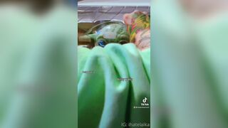 [448] ihatelaiika (LAIKAMusic aka Laika aka sleepylaika) OnlyFans Leaks CEO of Mental illness and Mommy Milkers