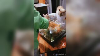 [448] ihatelaiika (LAIKAMusic aka Laika aka sleepylaika) OnlyFans Leaks CEO of Mental illness and Mommy Milkers