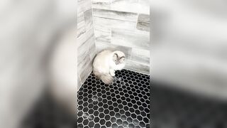 [552] ihatelaiika (LAIKAMusic aka Laika aka sleepylaika) OnlyFans Leaks CEO of Mental illness and Mommy Milkers