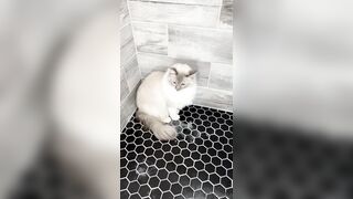 [552] ihatelaiika (LAIKAMusic aka Laika aka sleepylaika) OnlyFans Leaks CEO of Mental illness and Mommy Milkers