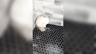 [552] ihatelaiika (LAIKAMusic aka Laika aka sleepylaika) OnlyFans Leaks CEO of Mental illness and Mommy Milkers