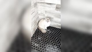 [552] ihatelaiika (LAIKAMusic aka Laika aka sleepylaika) OnlyFans Leaks CEO of Mental illness and Mommy Milkers