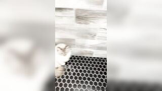 [552] ihatelaiika (LAIKAMusic aka Laika aka sleepylaika) OnlyFans Leaks CEO of Mental illness and Mommy Milkers