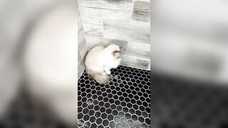 [552] ihatelaiika (LAIKAMusic aka Laika aka sleepylaika) OnlyFans Leaks CEO of Mental illness and Mommy Milkers