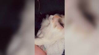 [553] ihatelaiika (LAIKAMusic aka Laika aka sleepylaika) OnlyFans Leaks CEO of Mental illness and Mommy Milkers