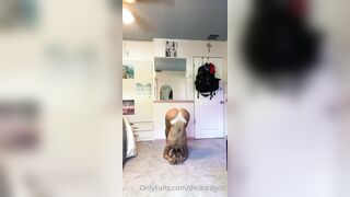 [14] Dreamgirlboss (Babyjayne aka jayne_riveraa aka Jayne Rivera) OnlyFans Leaks New Favourite Porn 