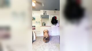 [162] Dreamgirlboss (Babyjayne aka jayne_riveraa aka Jayne Rivera) OnlyFans Leaks New Favourite Porn 