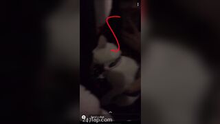 Shion Social Media Leaked Asian Chinese Amateur Girl Porn Video 61