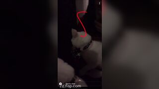 Shion Social Media Leaked Asian Chinese Amateur Girl Porn Video 61