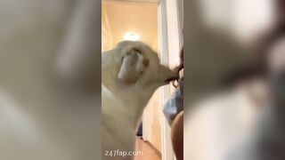 Emma Dahline Very Tall Social Media Leaked Amateur Nude Girl Porn Video 63