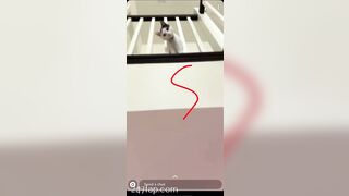 Shion Social Media Leaked Asian Chinese Amateur Girl Porn Video 60