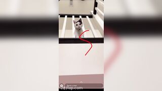 Shion Social Media Leaked Asian Chinese Amateur Girl Porn Video 60