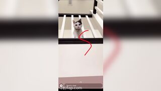 Shion Social Media Leaked Asian Chinese Amateur Girl Porn Video 60