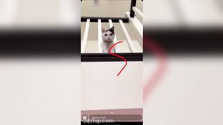 Shion Social Media Leaked Asian Chinese Amateur Girl Porn Video 60