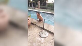 Emma Dahline Very Tall Social Media Leaked Amateur Nude Girl Porn Video 64