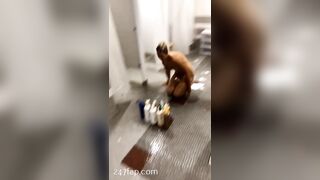 Emma Dahline Very Tall Social Media Leaked Amateur Nude Girl Porn Video 39