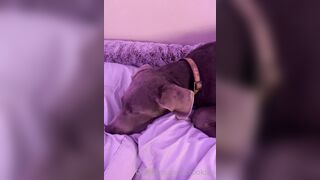 [113] Crooksxox (OliviaEdenOfficial aka Crooks) OnlyFans Leaks Big Titties & Ass Girl