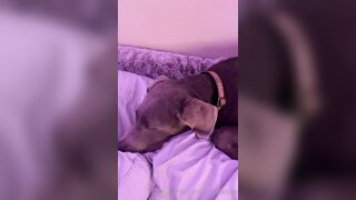 [113] Crooksxox (OliviaEdenOfficial aka Crooks) OnlyFans Leaks Big Titties & Ass Girl