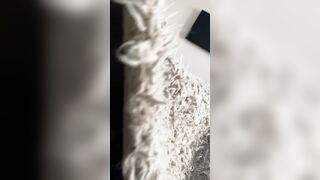 [135] Jessikagotti (Jessika Gotti) OnlyFans Leaks Brunette Magazine Cover Girl Queen Porn l