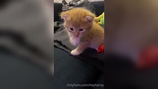 [144] Heyhorny (Mira Horny aka hey_horny) OnlyFans Leaks Brunette Sexy Slut Porn