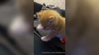 [144] Heyhorny (Mira Horny aka hey_horny) OnlyFans Leaks Brunette Sexy Slut Porn