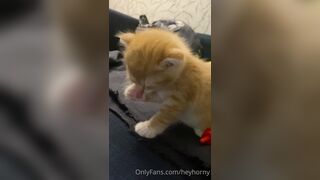 [144] Heyhorny (Mira Horny aka hey_horny) OnlyFans Leaks Brunette Sexy Slut Porn