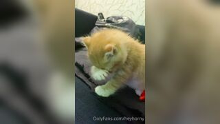 [144] Heyhorny (Mira Horny aka hey_horny) OnlyFans Leaks Brunette Sexy Slut Porn