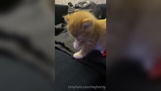 [144] Heyhorny (Mira Horny aka hey_horny) OnlyFans Leaks Brunette Sexy Slut Porn