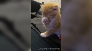 [144] Heyhorny (Mira Horny aka hey_horny) OnlyFans Leaks Brunette Sexy Slut Porn