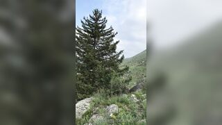 [151] Heyhorny (Mira Horny aka hey_horny) OnlyFans Leaks Brunette Sexy Slut Porn