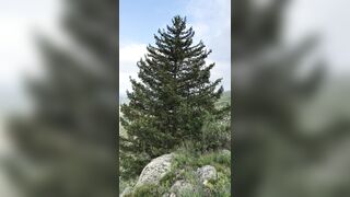 [151] Heyhorny (Mira Horny aka hey_horny) OnlyFans Leaks Brunette Sexy Slut Porn