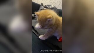 [152] Heyhorny (Mira Horny aka hey_horny) OnlyFans Leaks Brunette Sexy Slut Porn