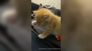 [152] Heyhorny (Mira Horny aka hey_horny) OnlyFans Leaks Brunette Sexy Slut Porn