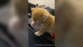 [152] Heyhorny (Mira Horny aka hey_horny) OnlyFans Leaks Brunette Sexy Slut Porn