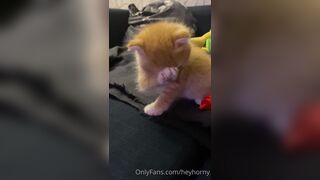 [152] Heyhorny (Mira Horny aka hey_horny) OnlyFans Leaks Brunette Sexy Slut Porn