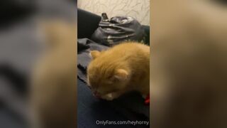 [152] Heyhorny (Mira Horny aka hey_horny) OnlyFans Leaks Brunette Sexy Slut Porn