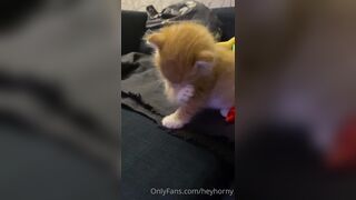 [152] Heyhorny (Mira Horny aka hey_horny) OnlyFans Leaks Brunette Sexy Slut Porn