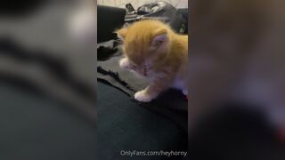 [152] Heyhorny (Mira Horny aka hey_horny) OnlyFans Leaks Brunette Sexy Slut Porn