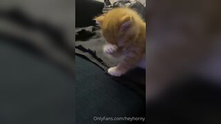 [152] Heyhorny (Mira Horny aka hey_horny) OnlyFans Leaks Brunette Sexy Slut Porn